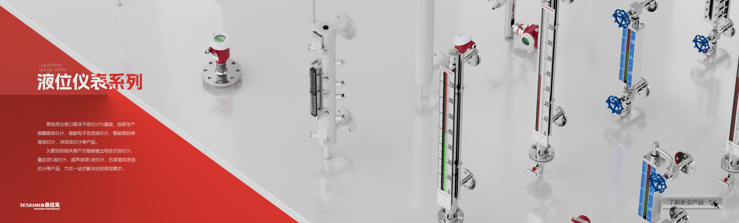 河南泰信克儀表技術有限公司